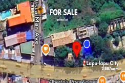 Foreclosed Commercial Lot - 2887 sqm - Mactan, Cebu