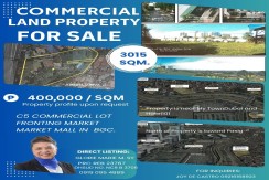 Prime Commercial Lot